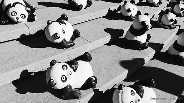 Google Panda Update Image